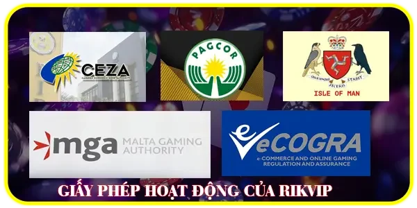 Giấy phép hoạt động của RIkvip